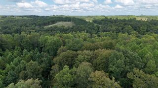 0 Freedom Ridge, Indian Mound, TN 37079