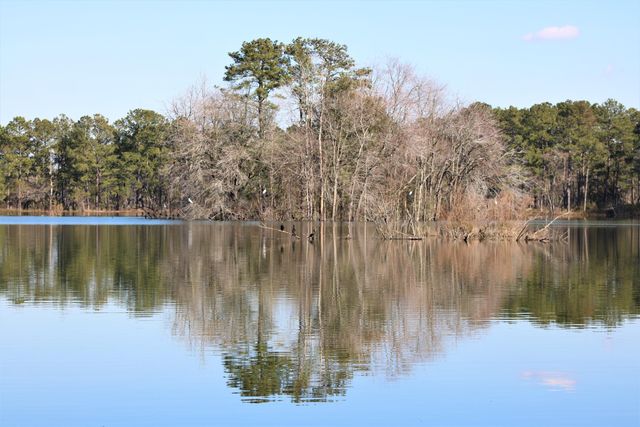 1001 Scotch Bonnet Way, Summerville, SC 29485