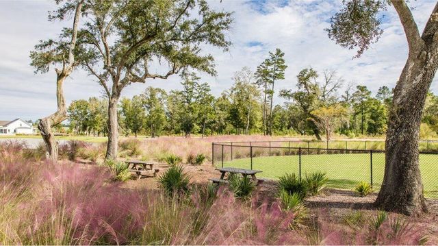 1001 Scotch Bonnet Way, Summerville, SC 29485