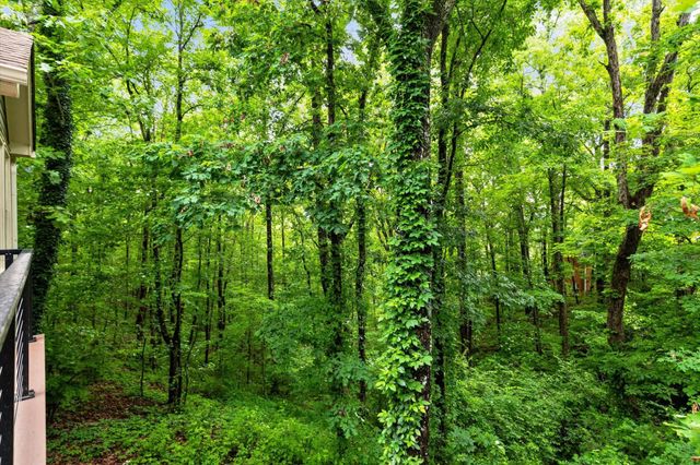 10 Pebble Lane, Signal Mountain, TN 37377