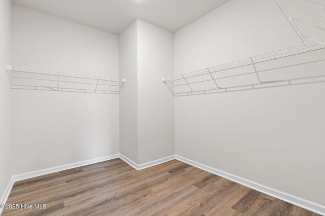 108 Muscadine Drive, Jacksonville, NC 28546