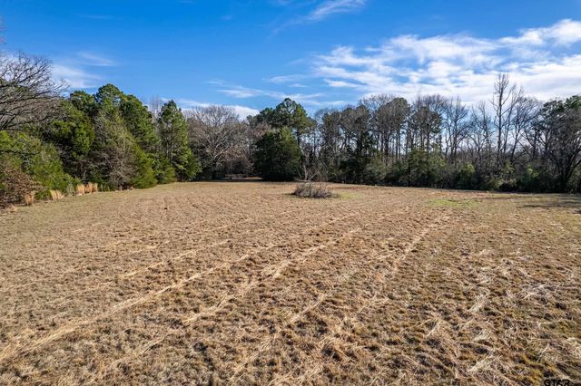 23096 McFadden Lane, Chandler, TX 75758