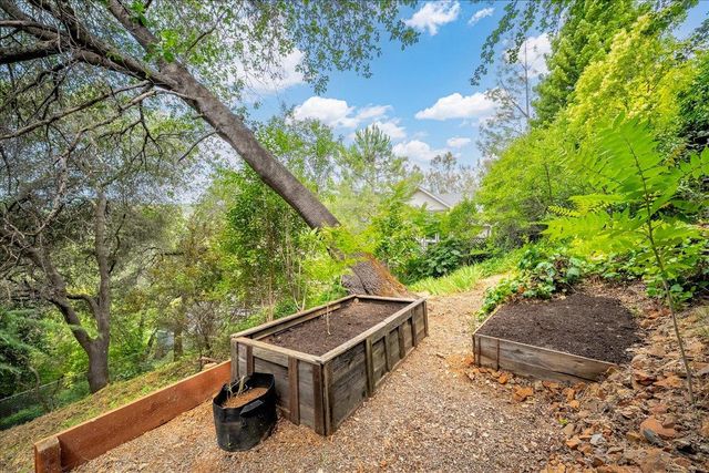 303 Live Oak St, Auburn, CA 95603