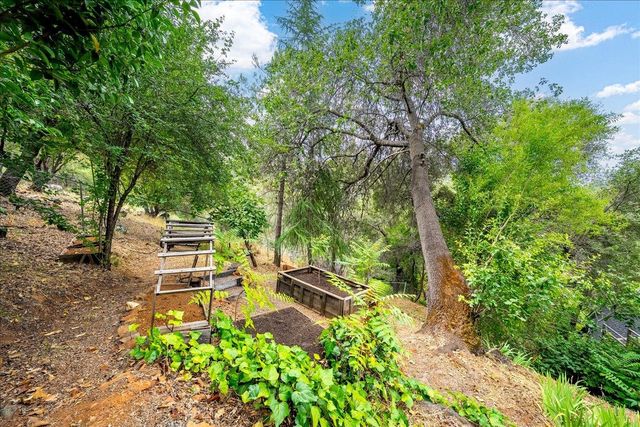 303 Live Oak St, Auburn, CA 95603