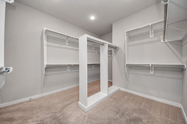 10127 Blythe Street, Rosharon, TX 77583