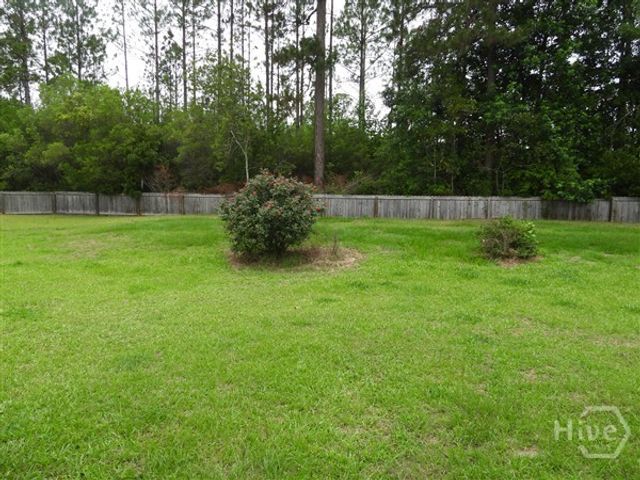 263 Virginia Lane, Ludowici, GA 31316