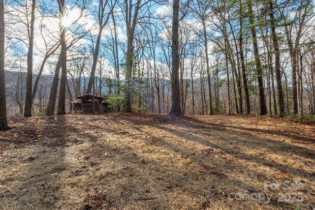 332 Richmond Avenue, Swannanoa, NC 28778