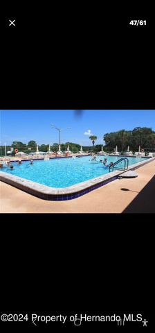 15084 Brookridge Boulevard, Brooksville, FL 34613