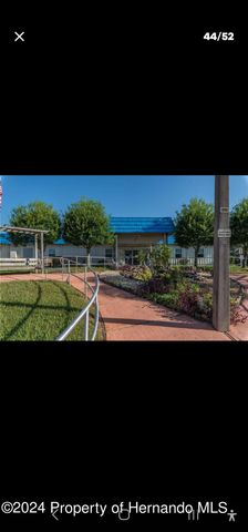 15084 Brookridge Boulevard, Brooksville, FL 34613