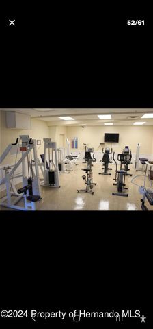 15084 Brookridge Boulevard, Brooksville, FL 34613