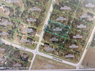 0 Cormorant Road, Weeki Wachee, FL 34614