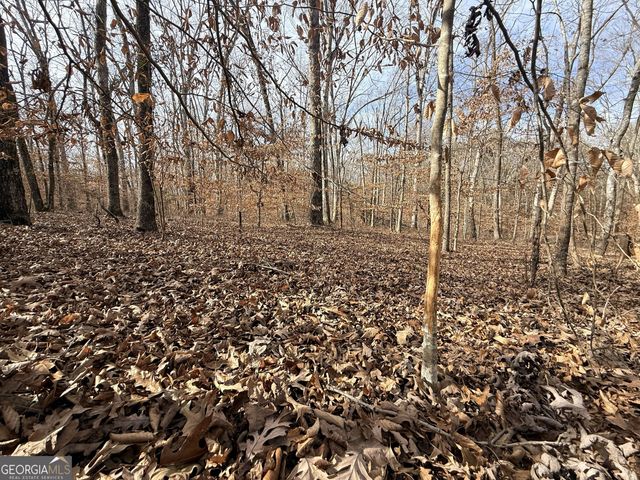 2 Far A Way Road, Elberton, GA 30635