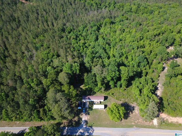 10701 COUNTY ROAD 66, Heflin, AL 36264