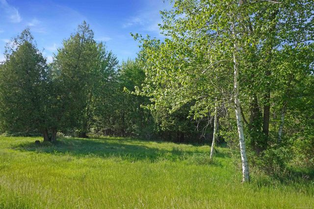 1385 N Blacks Corners Road, Goodland Twp, MI 48444