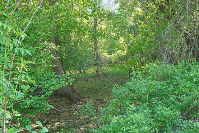 1385 N Blacks Corners Road, Goodland Twp, MI 48444