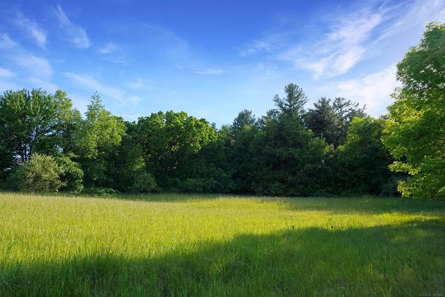 1385 N Blacks Corners Road, Goodland Twp, MI 48444