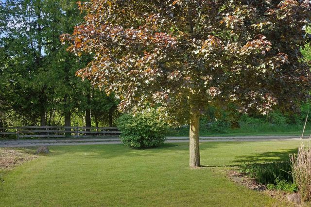 1385 N Blacks Corners Road, Goodland Twp, MI 48444