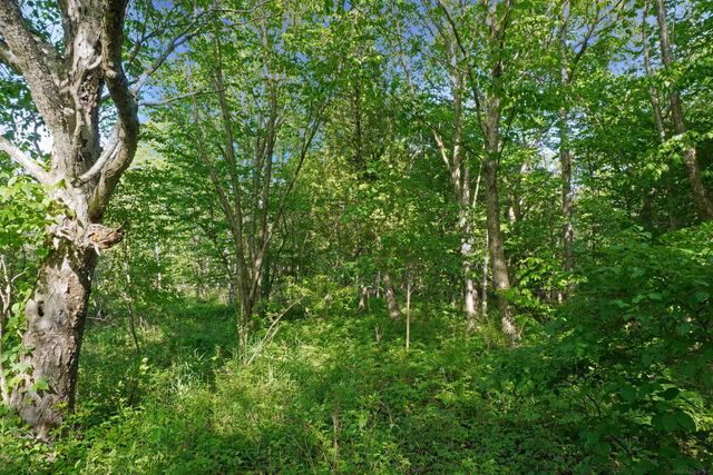 1385 N Blacks Corners Road, Goodland Twp, MI 48444
