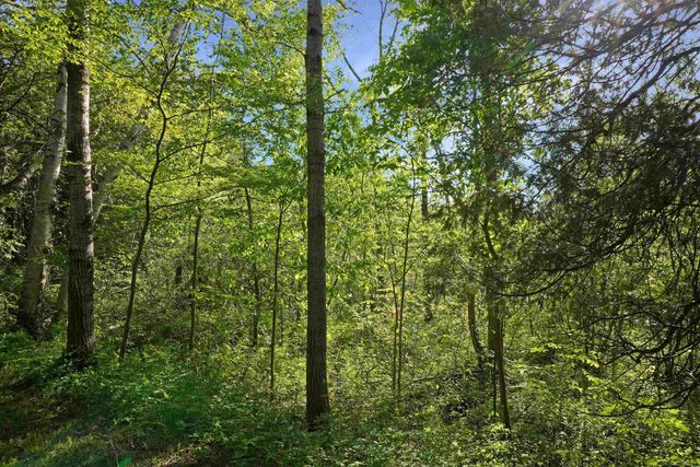 1385 N Blacks Corners Road, Goodland Twp, MI 48444