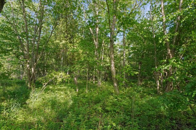 1385 N Blacks Corners Road, Goodland Twp, MI 48444