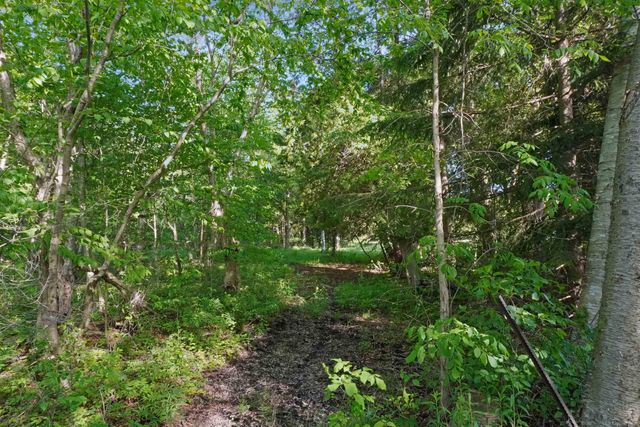 1385 N Blacks Corners Road, Goodland Twp, MI 48444
