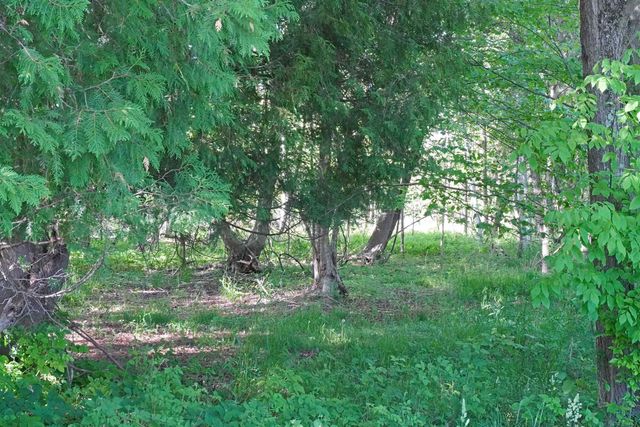 1385 N Blacks Corners Road, Goodland Twp, MI 48444