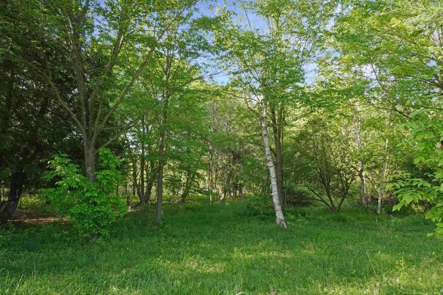 1385 N Blacks Corners Road, Goodland Twp, MI 48444