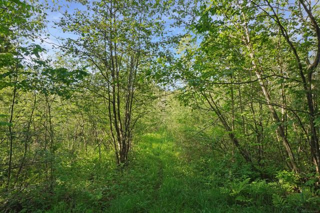 1385 N Blacks Corners Road, Goodland Twp, MI 48444