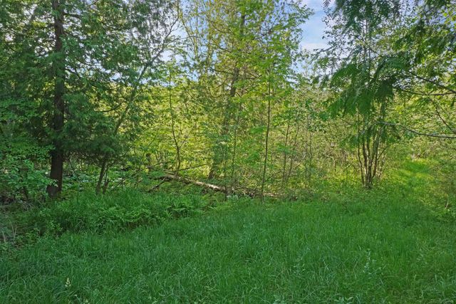 1385 N Blacks Corners Road, Goodland Twp, MI 48444
