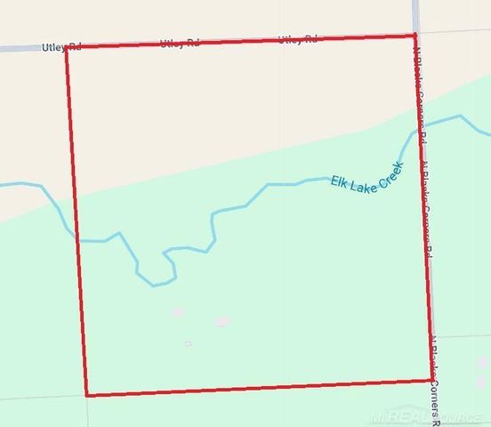 1385 N Blacks Corners Road, Goodland Twp, MI 48444