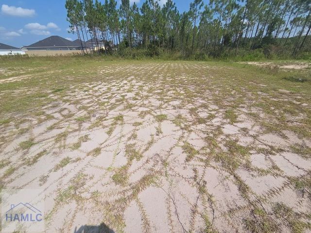 299 McClelland Loop NE, Ludowici, GA 31316