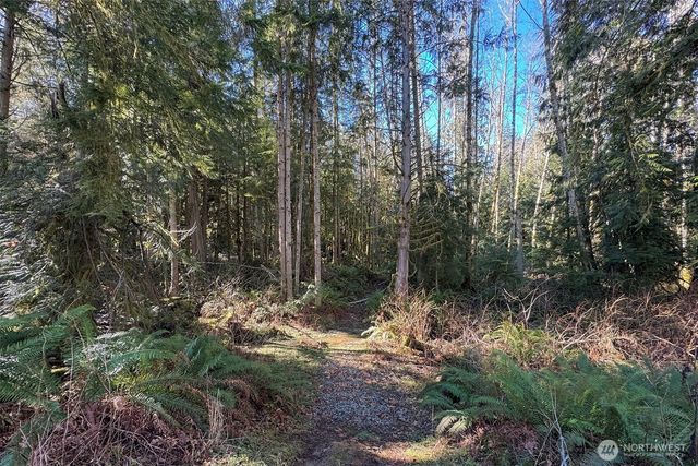 242 Watershed Road, Port Angeles, WA 98362