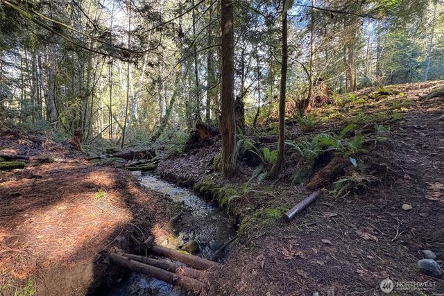 242 Watershed Road, Port Angeles, WA 98362