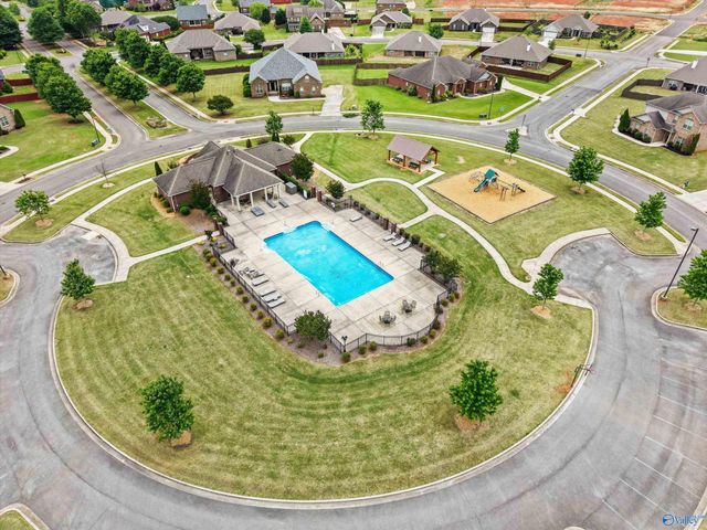 16132 Chowning Drive, Harvest, AL 35749