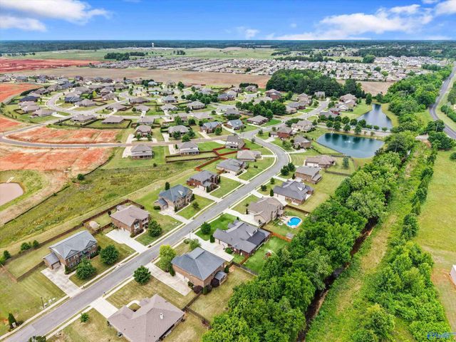 16132 Chowning Drive, Harvest, AL 35749
