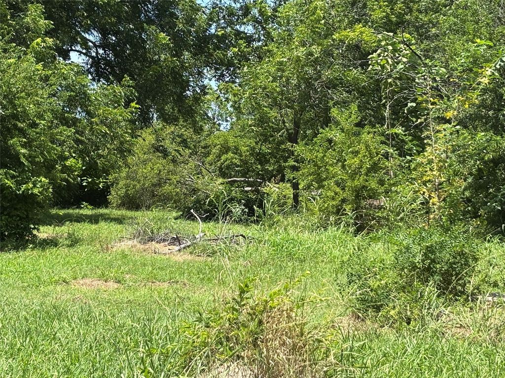 1124 Jones Street, Greenville, TX 75401