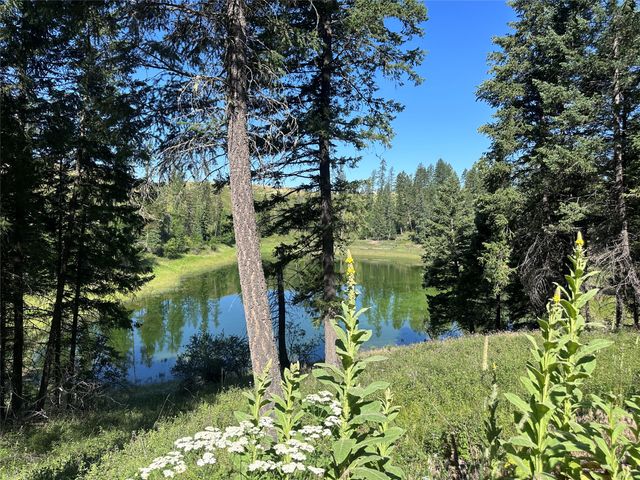 196 Belterra Lane, Bigfork, MT 59911 property photo
