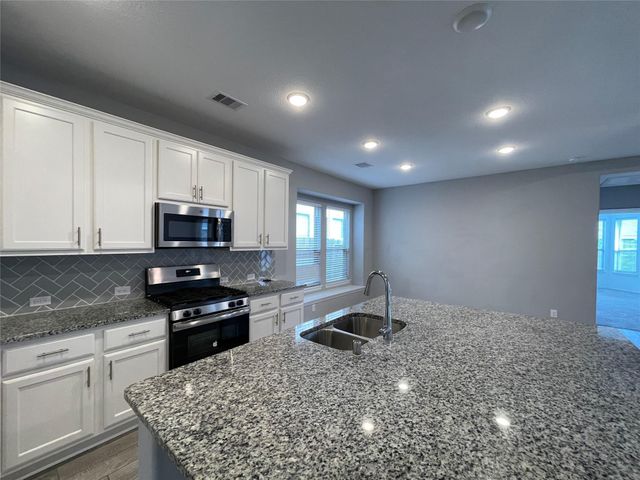308 Tangle Birch Court, Montgomery, TX 77316