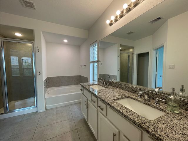 308 Tangle Birch Court, Montgomery, TX 77316