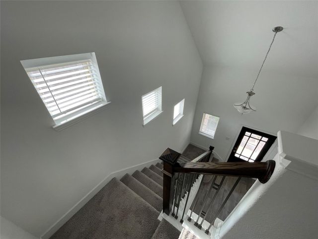 308 Tangle Birch Court, Montgomery, TX 77316