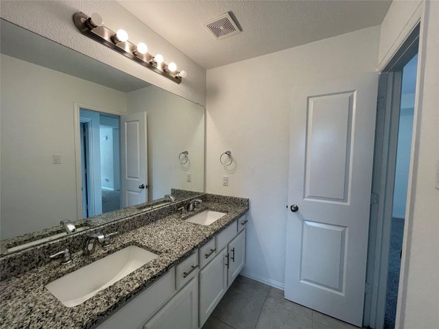 308 Tangle Birch Court, Montgomery, TX 77316