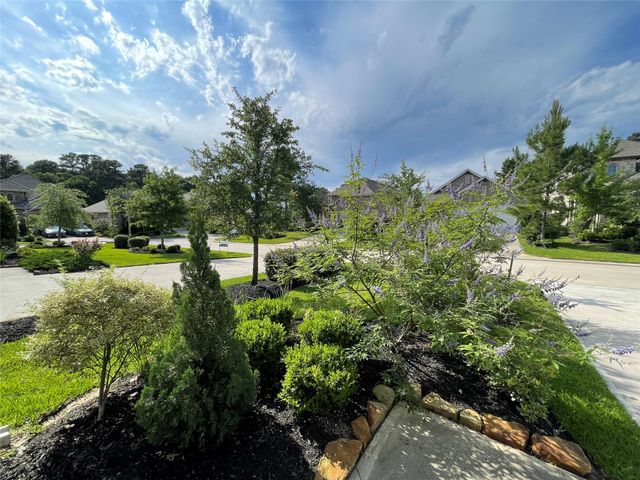 308 Tangle Birch Court, Montgomery, TX 77316