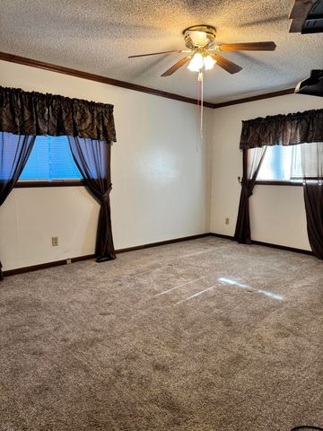 22455 County Road 203, Wheatland, MO 65779