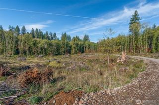 154 Deer Fern Lane, Longview, WA 98632