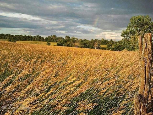 00000 State Avenue, Tonganoxie, KS 66086