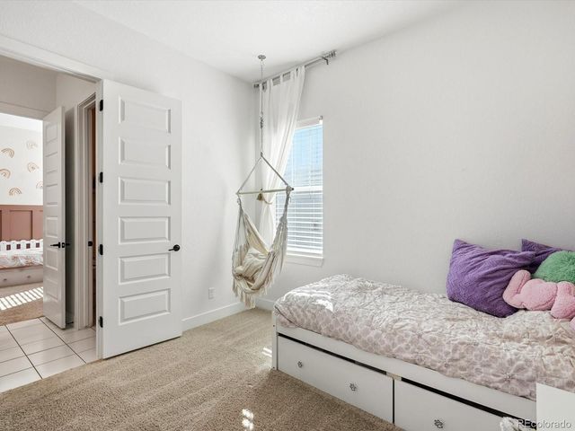 3268 Carabiner Street, Castle Rock, CO 80108