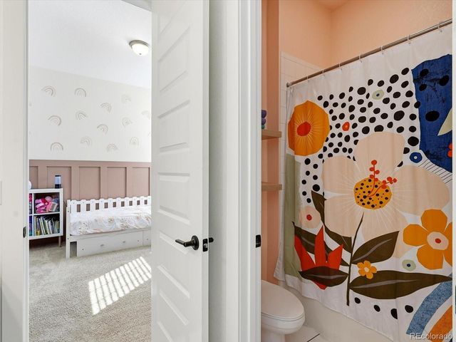 3268 Carabiner Street, Castle Rock, CO 80108