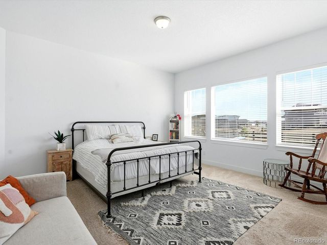 3268 Carabiner Street, Castle Rock, CO 80108