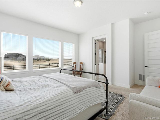 3268 Carabiner Street, Castle Rock, CO 80108