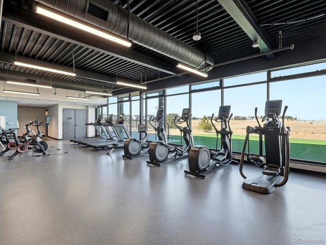 3268 Carabiner Street, Castle Rock, CO 80108